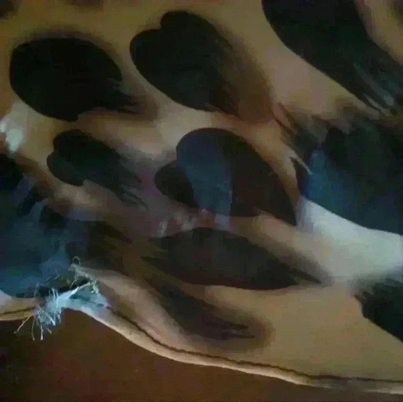 LaFemme Gown/ Dress Leopard Print Size 0 - Picture 14 of 16